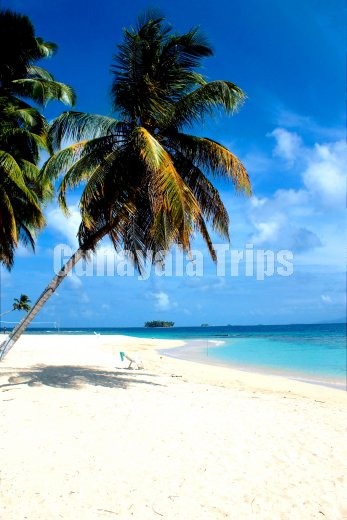 Isla Aguja, Gunayala Trips