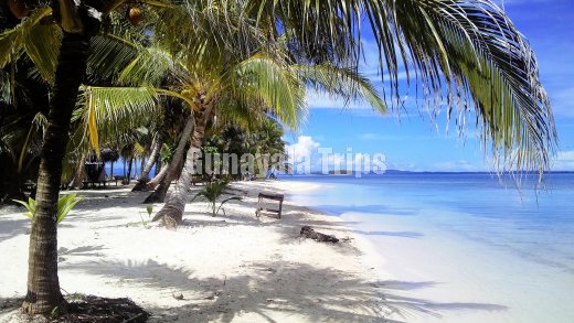 Isla Iguana, Gunayala Trips