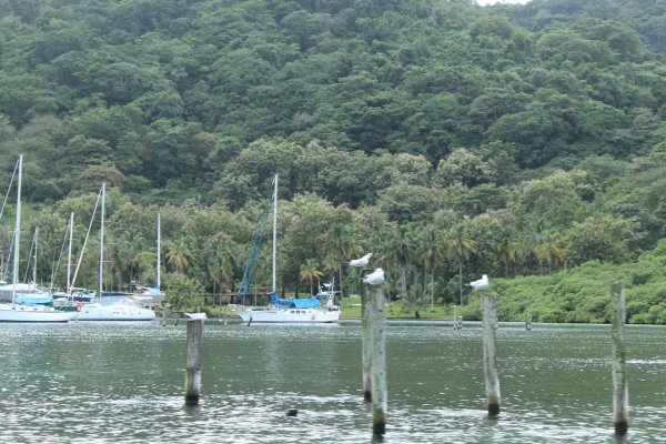 20201127221952_IMG_9250