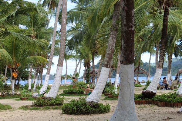 20201128014658_IMG_9385