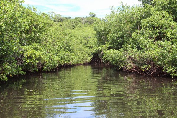 20201128024547_IMG_9425