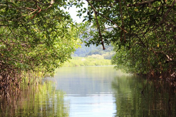 20201128025212_IMG_9435